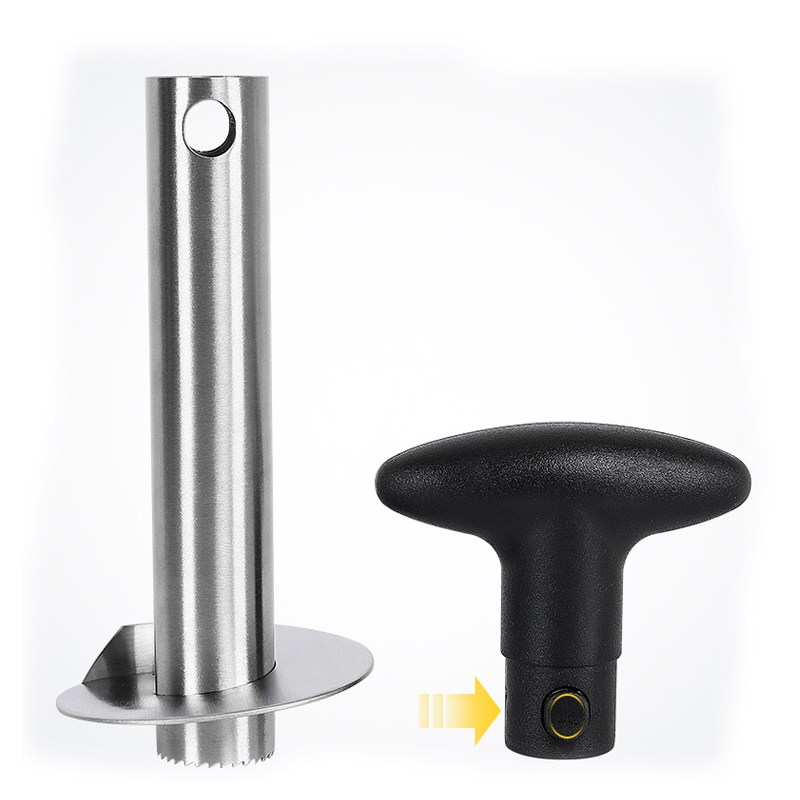 1Pc Edelstahl Einfach zu bedie – Pineapple Corer Slicer Bewertung und Preis