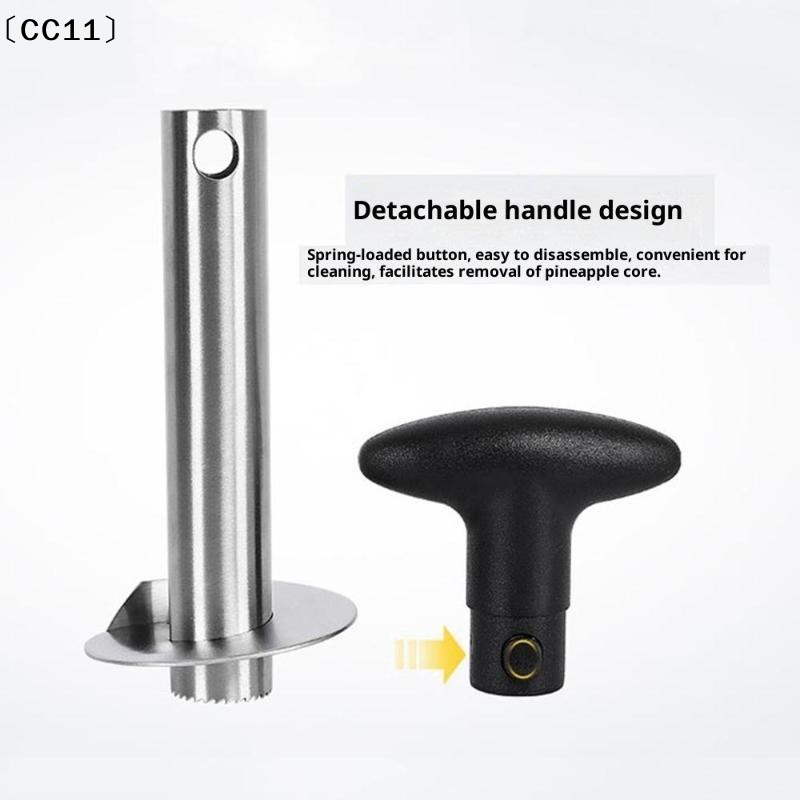 Ananas-Entkerner und -schneide – Pineapple Corer Slicer Bewertung und Preis