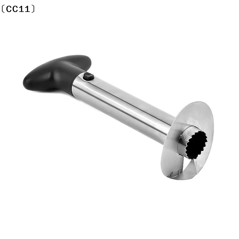 Ananas-Entkerner und -schneide – Pineapple Corer Slicer Bewertung und Preis