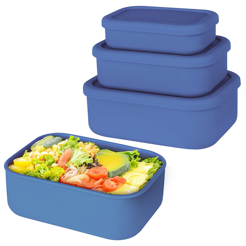 Auslaufsichere Bento-Lunchbox, – Meal Prep List Bewertung und Preis