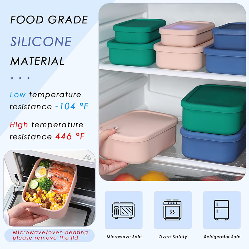 Auslaufsichere Bento-Lunchbox, – Meal Prep List Bewertung und Preis